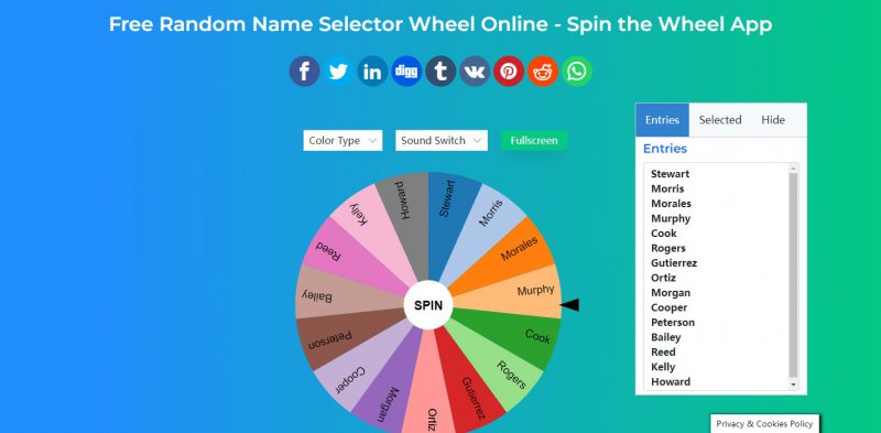 Random Name Selector Wheel